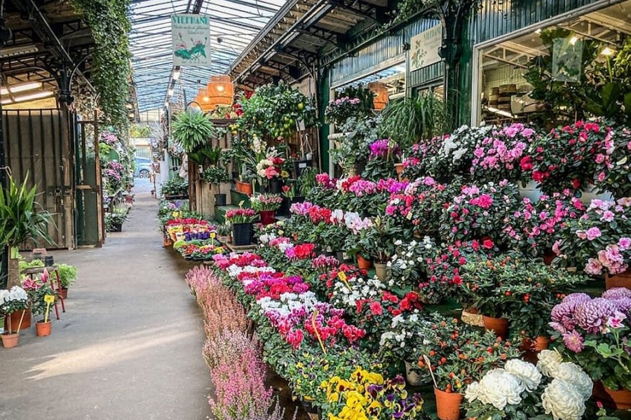 Marché aux Fleurs Reine Elizabeth II : une oasis florale